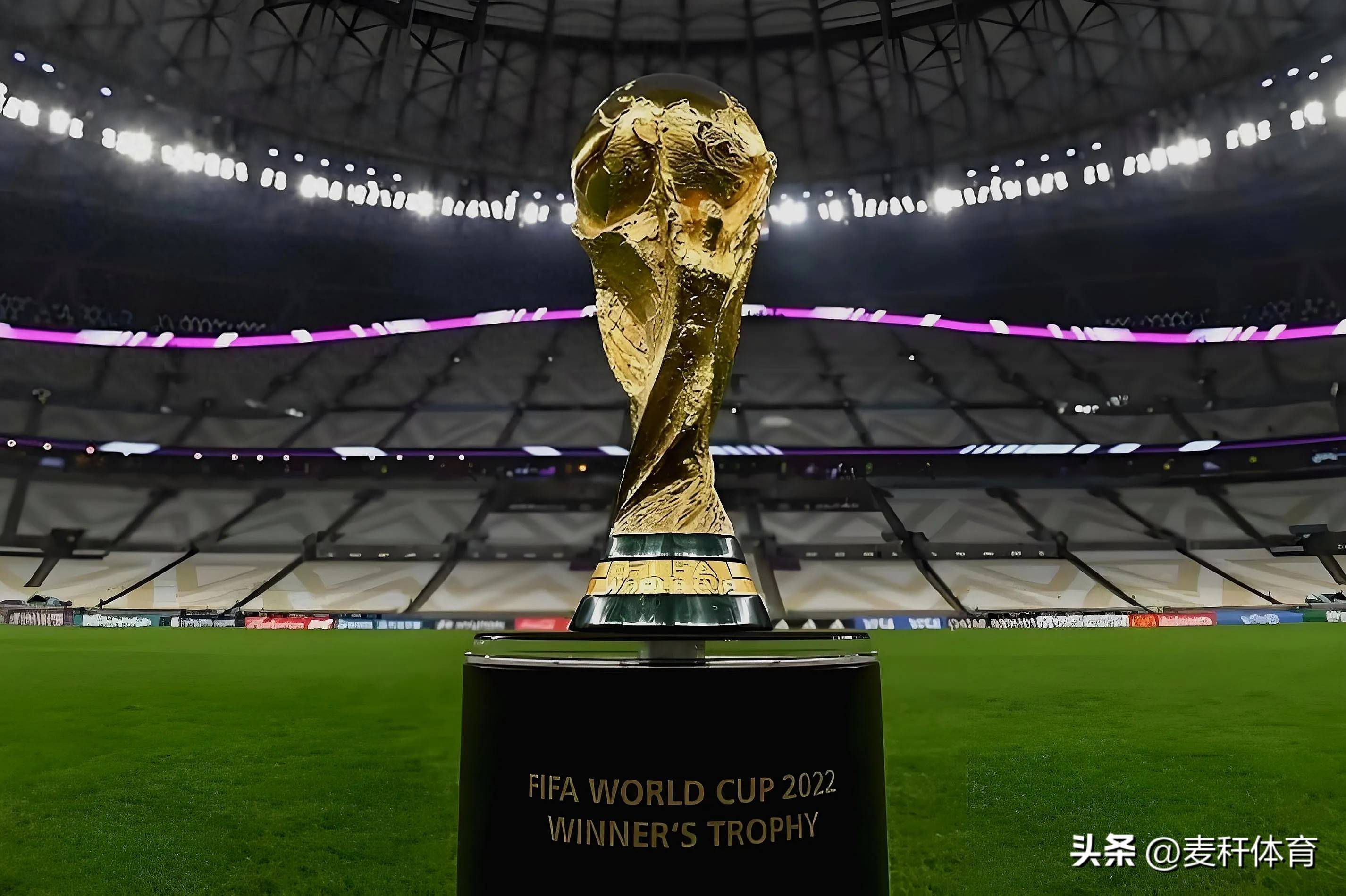 愿意换任何 愿意换任何