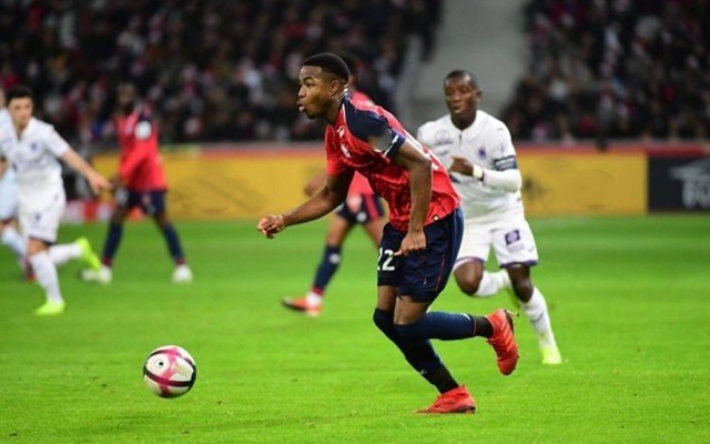 显示出新疆 显示出新疆