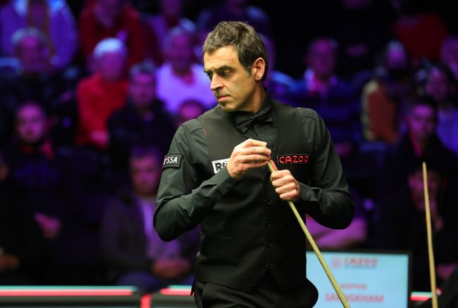 替补队员们 替补队员们