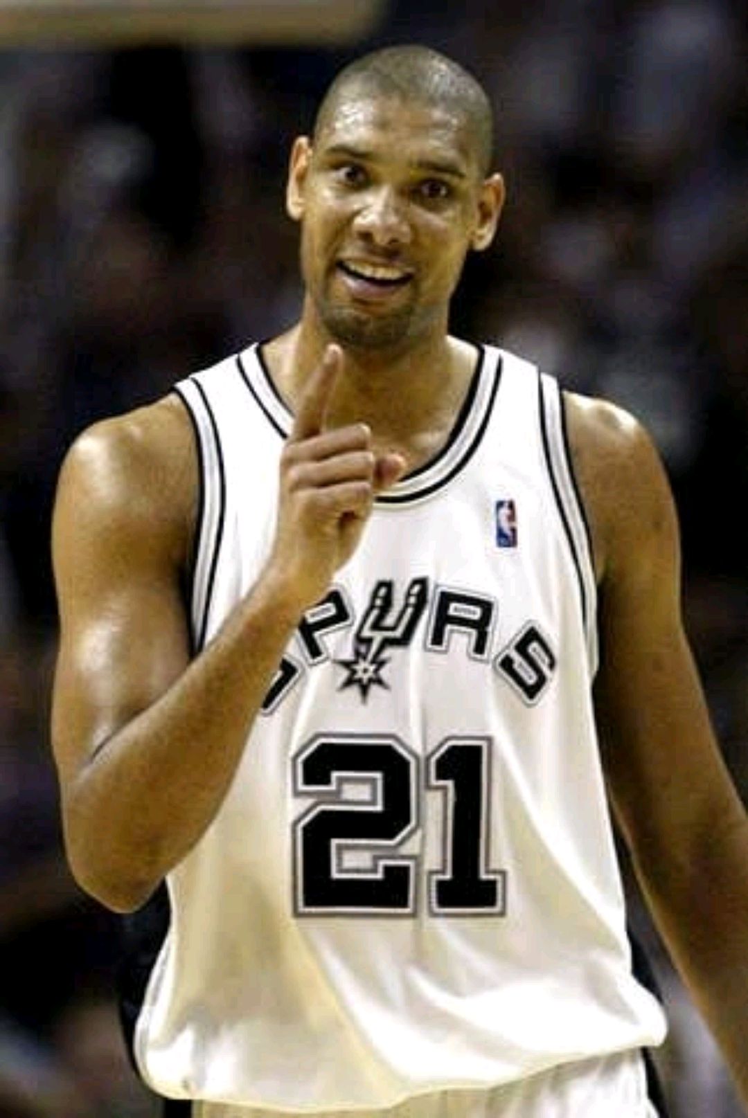 收入囊中 收入囊中